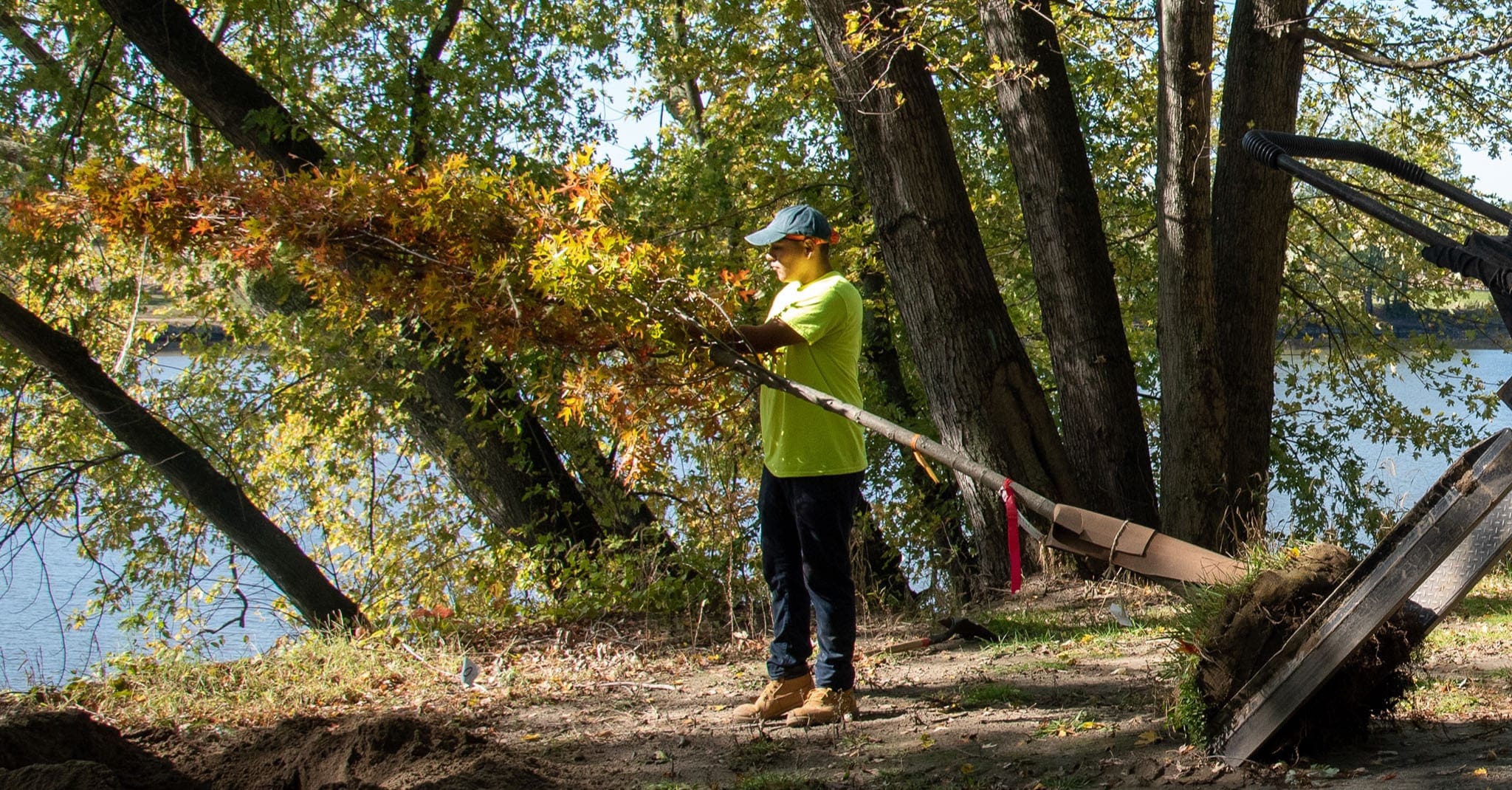 Read more about the article Fifty New Trees Planted in Great River Park