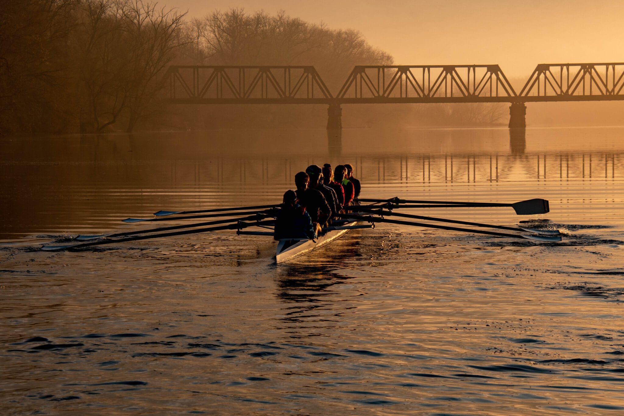 Read more about the article Rowing Program History